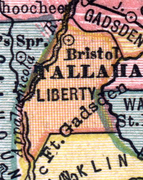 Map of Liberty County, Florida, 1880