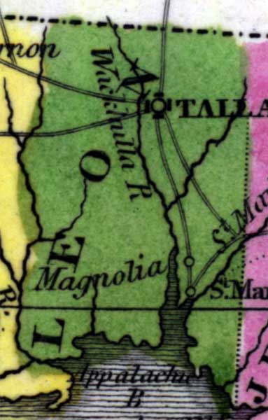 Map of Leon County, Florida, 1834