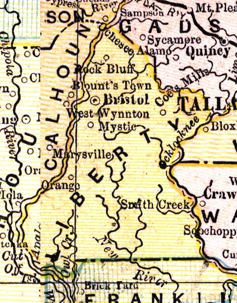 Map of Liberty County, Florida, 1890