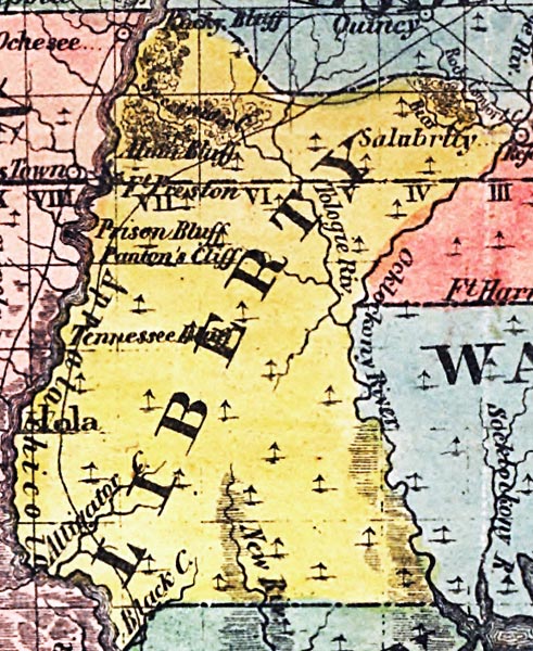 Map of Liberty County, Florida, 1856