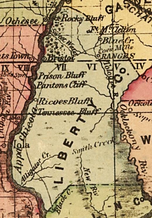 Map of Liberty County, Florida, 1874
