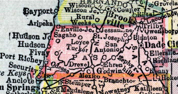 Map of Pasco County, Florida, 1916