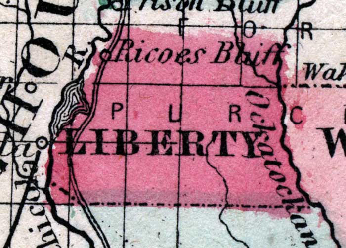 Map of Liberty County, Florida, 1863