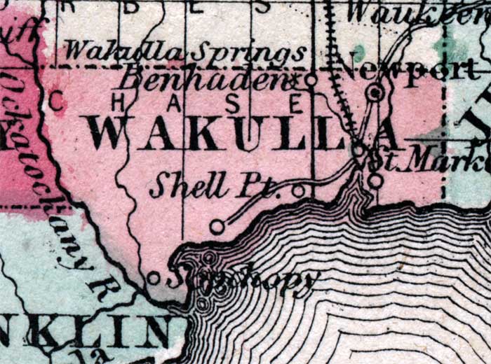 Map of Wakulla County, Florida, 1863