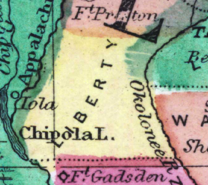 Map of Liberty County, Florida, 1873