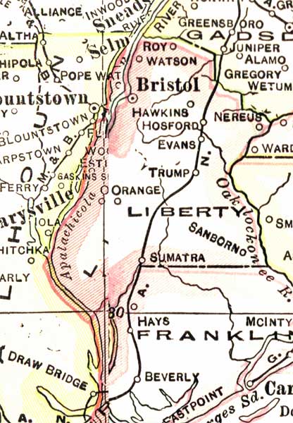 Map of Liberty County, Florida, 1916