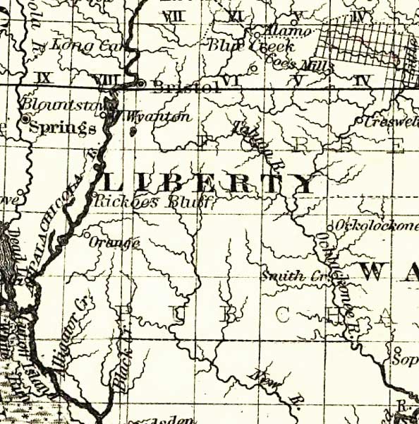 Liberty County, 1882