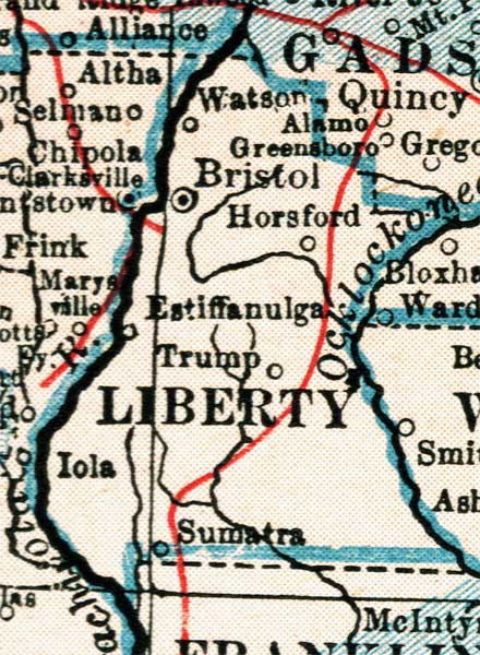 Map of Liberty County, Florida, 1921