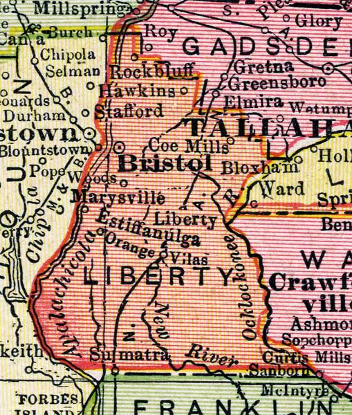 Map of Liberty County, Florida, 1917