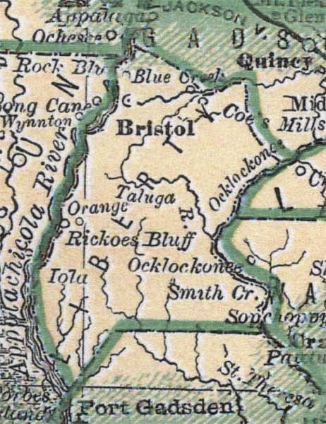 Map of Liberty County, Florida, 1880