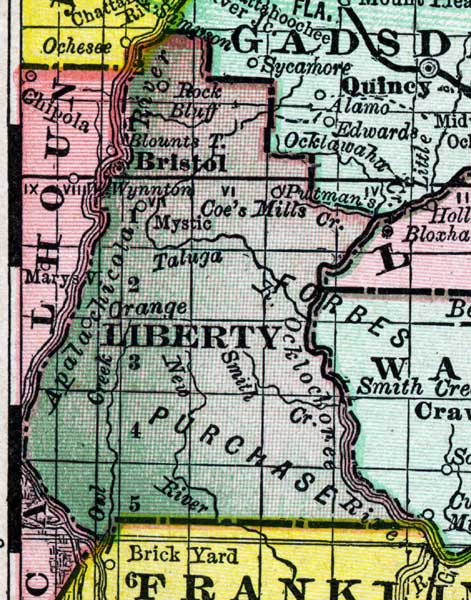 Map of Liberty County, Florida, 1888