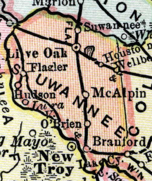 Map of Suwannee County, Florida, 1890