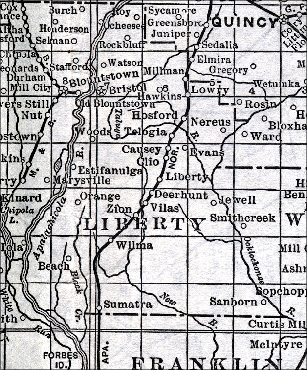 Map of Liberty County, Florida, 1920