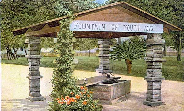 Fountain of youth