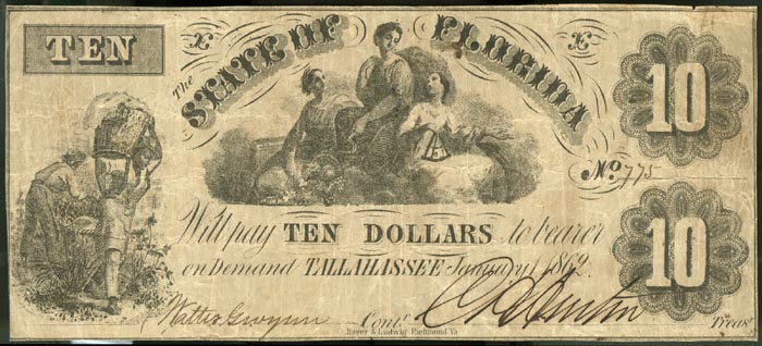 Ten dollar bill