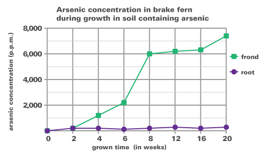 Fern graph showing growth time versus arsenic concentration