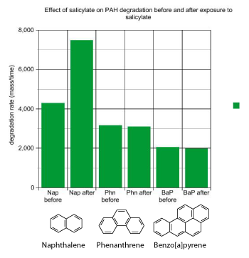 graph showing the effect of salicylate addition on rates of PAH degradation by the bioreactor
