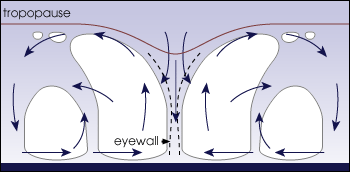 cross sectional view of air flow within a hurricane