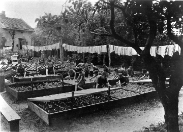 gardening