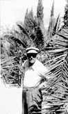 palm tree icon