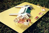 thumbnail of a scale model of a children's playground