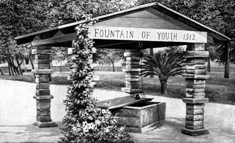 FOUNTAIN OF YOUTH