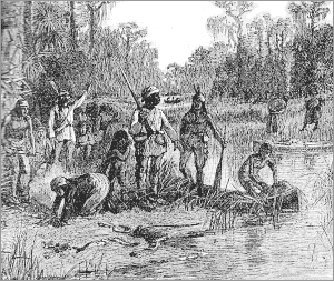 Seminoles