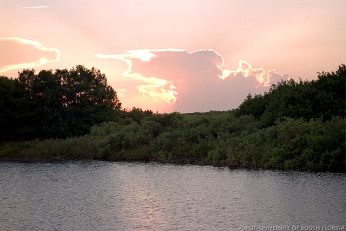 Early sunset