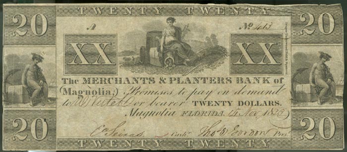 Twenty dollar bill