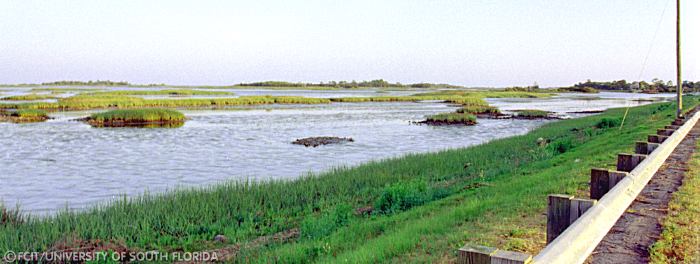 Scenic view of the water
