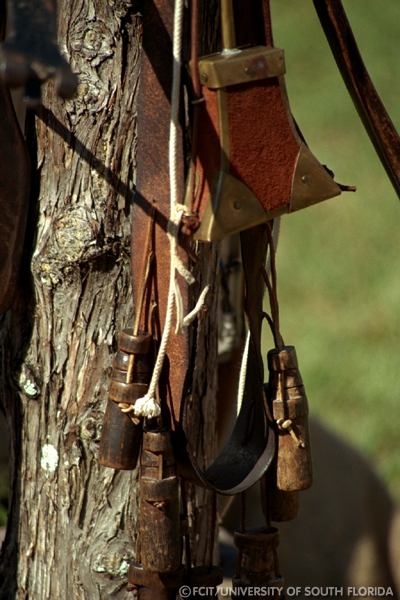 Detail of an ammunition belt
