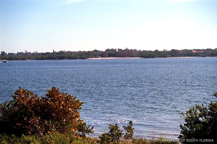 View of the Manatee River