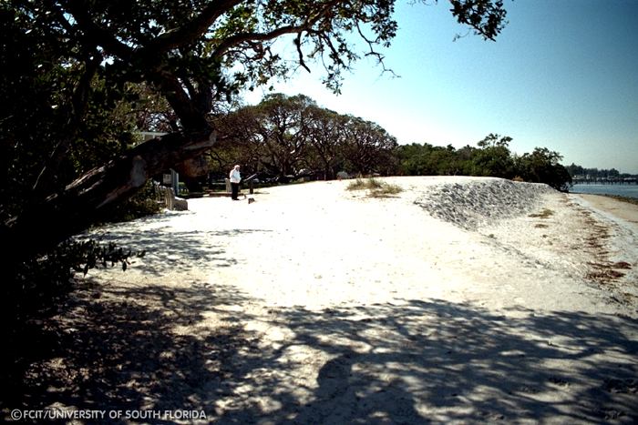 View of the shore