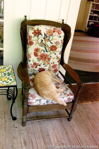 Chair on the veranda