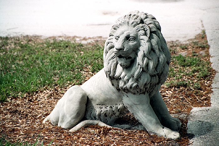 Sculpture of a lion