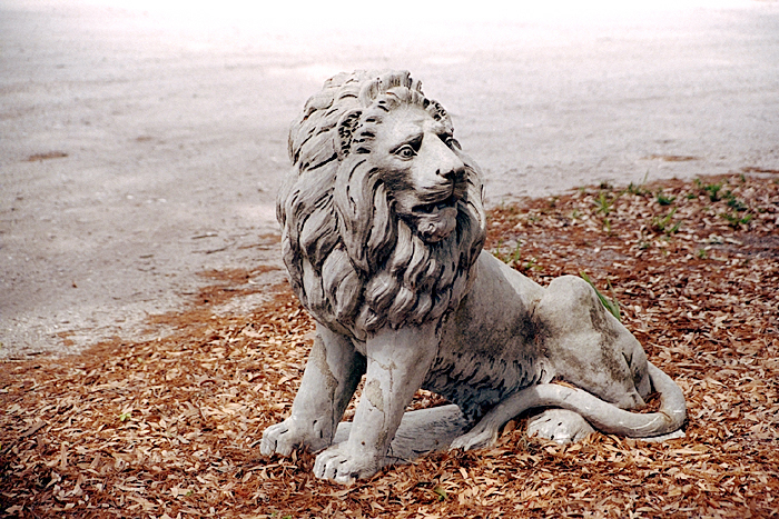 Sculpture of a lion