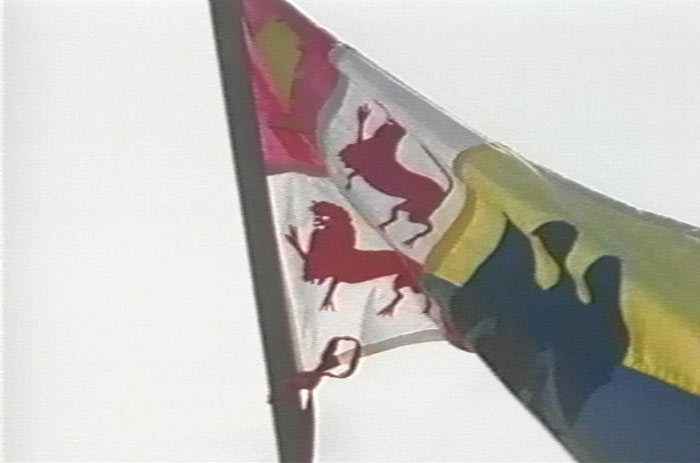 Spanish Flag