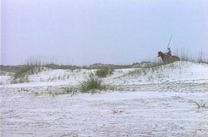 Spanish Horseman on a Beach