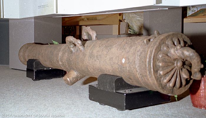 Cannon