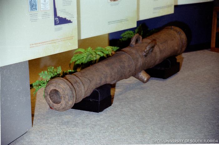 Cannon