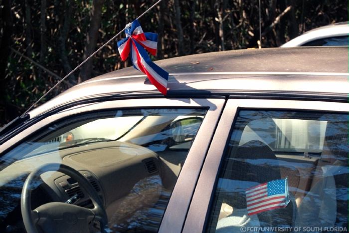 Patriotic ribbon and flag