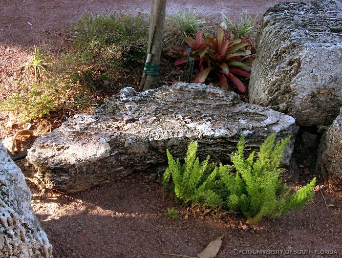 Grotto of the Three Bears
