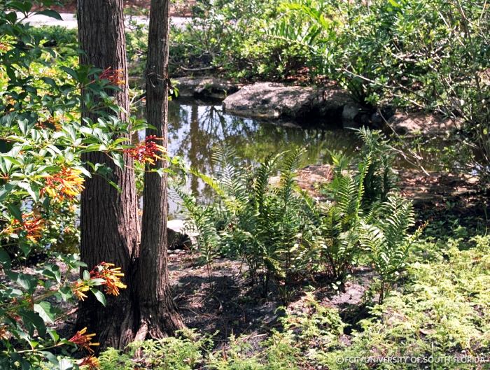 Paradise Garden
