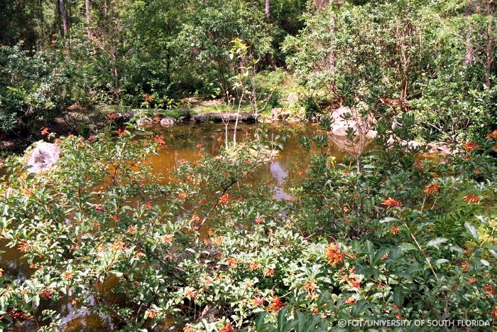 Paradise Garden
