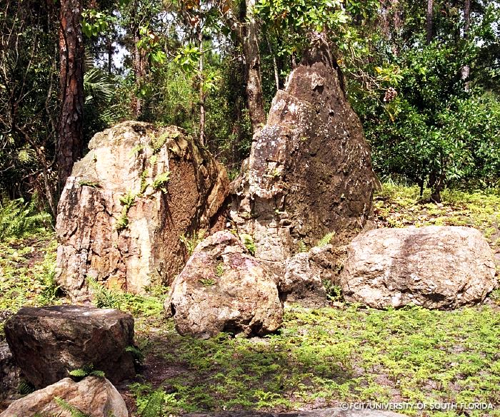 Early Rock Garden