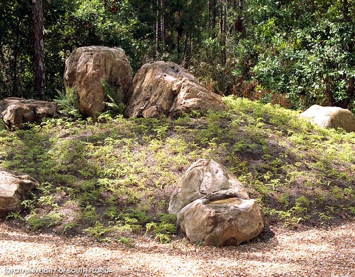 Early Rock Garden