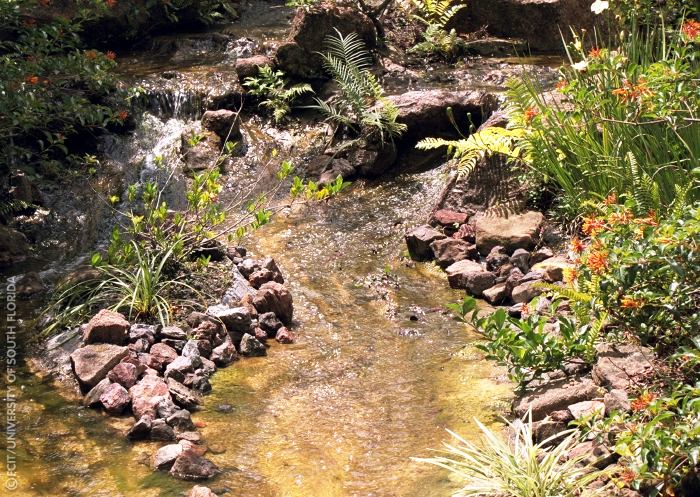 Creek