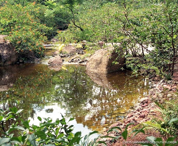 Pond and stone latern
