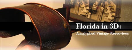 Florida in 3D: Florida Stereoview
