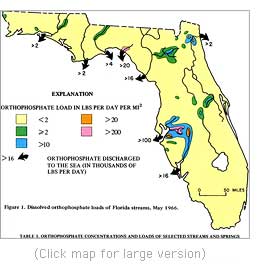 Dissolved orthophosphate loads of Florida streams, May 1966
